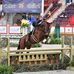 Pennsylvania Horse Show - Facebook