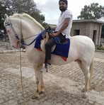 Hari Singh Rajput Haris - Facebook