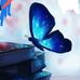 Patrick Todd - Facebook