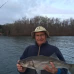Horace Webb - Facebook