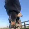 lil Horace 🐴😍 - @horace_the_welshie - TikTok