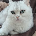 Horacio Alves - @horacio.alves.71 - Instagram