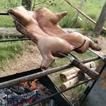 Horacio Alves - @horacio.alves.129 - Instagram