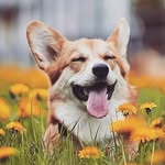 Horacio Arenas - @horacio.arenas.585 - Instagram