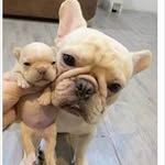 Horacio D. Arenas - @horaciod.arenas - Instagram