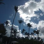 Horacio Baez - @manuelhoraciobaez - Instagram