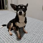 Horacio Barros Paternina - @horaciobarrospaternina - Instagram