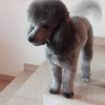 Horacio Barroso - @horacio.barroso.790 - Instagram