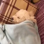 Horacio Barroso Padilla - @horaciobarrosopadilla - Instagram