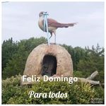 Horacio Benedetti - @benedetti.horacio - Instagram