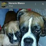 Horacio Blanco - @horacio.blanco.1614 - Instagram