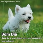 Horacio Bomfim Leite Cabral - @bomfimleitecabral - Instagram