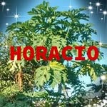 Horacio Enriquez - @horacio.enriquez.334 - Instagram