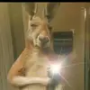 Horacio Enriquez - @horacio.enriquez78 - TikTok