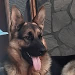Horacio Enriquez - @horacioenriquez8 - Instagram