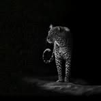 Horacio Gutierrez - Facebook