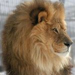 Horacio Guzman - @horacio.guzman - Instagram