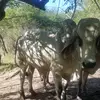 horaciomendez834 - @horaciomendez834 - TikTok