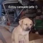 Horacio Munoz - @horacio_mm8 - Instagram