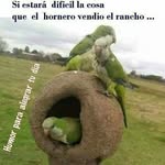 Horacio Perez - @horacio2318 - Instagram