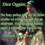 horacio pineda - @horaciopineda9 - Instagram