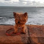 Horacio Rossi - @horacio.rossi.3979 - Instagram