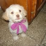 Horacio Rossi Dufour - @rossidufour - Instagram