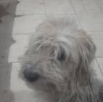 Ramon Horacio Sosa - Facebook