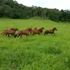 Horacio Soruco Vaca - @horacio.soruco.va - TikTok
