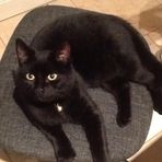 Horatio Cooper - Facebook