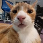 Horatio - @kinghoratiovii - Instagram