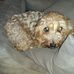 Horst Auer - Facebook