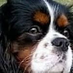 Horst Hahn - @horst8763 - Instagram