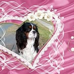 Horst Hahn - @horst.hahn.520 - Instagram