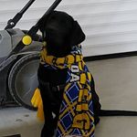 Horst Herrmann - @wackerwl25 - Instagram