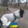Jahn Horst - @jahnhorst - TikTok