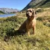 Horst Mueller - @horst.mueller4 - TikTok