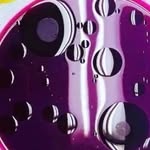 Horst Mueller - @horstmuellernbg - Instagram