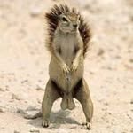 Horst Müller - @horst_mueller_0815 - Instagram