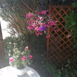 Horst Priebe - @hoddi30 - Instagram