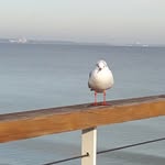 Horst Stein - @horst.stein.961 - Instagram