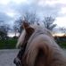 Hortense Thomas - Facebook