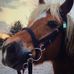 Hortense Thomas - Facebook