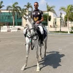 Hossam Soliman - @egel_422 - Instagram
