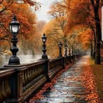 Hossein Karimi - Facebook