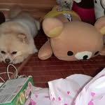 Hou Wong - @houwongw - Instagram