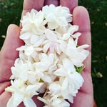 houda el haloui - @houdael358 - Instagram