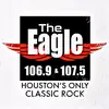 Houston’s Eagle - @houstonseagle - TikTok