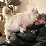 Houston Johnson - @catdadhuey - Instagram