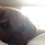 Houston Walker - @texasboy2008 - Instagram